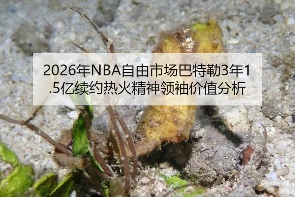 nian-zi-you-shi-chang-ba-te-lei-nian-yi-xu-yue-re-huo-jing-shen-ling-xiu-jia-zhi-fen-xi-2-997.jpg